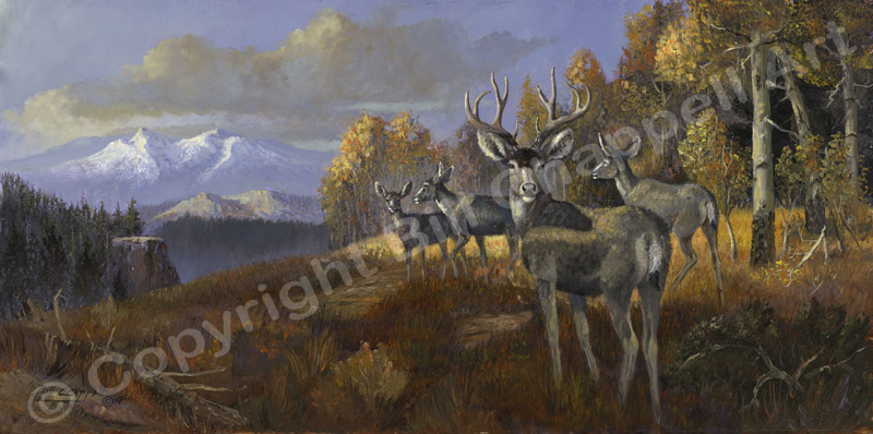 Rocky&nbsp;Mtn&nbsp;Mule&nbsp;Deer&nbsp;(Giclee&nbsp;Print)