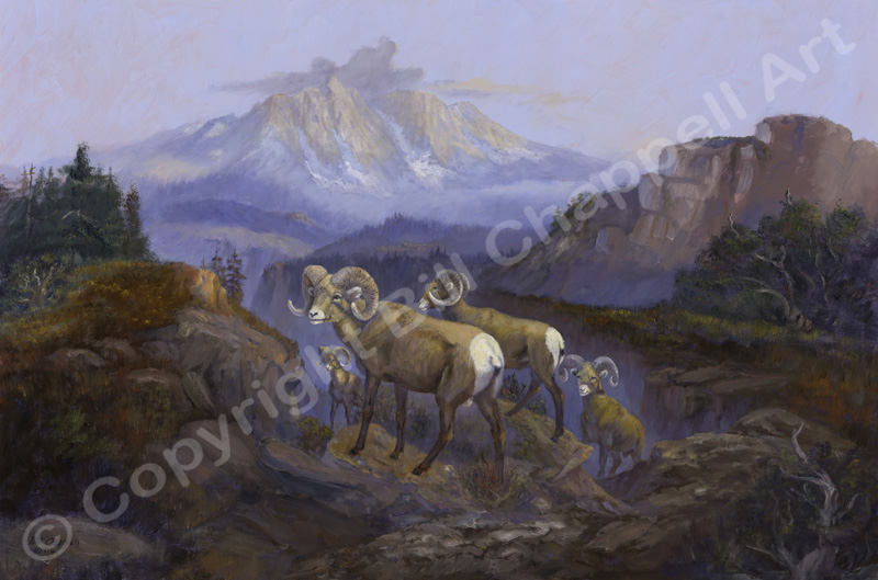 Rocky&nbsp;Mountian&nbsp;Rams&nbsp;(Giclee&nbsp;Print)