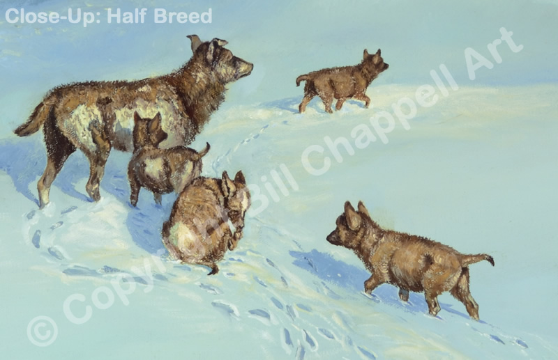 Call of the Wild (Giclee Print)