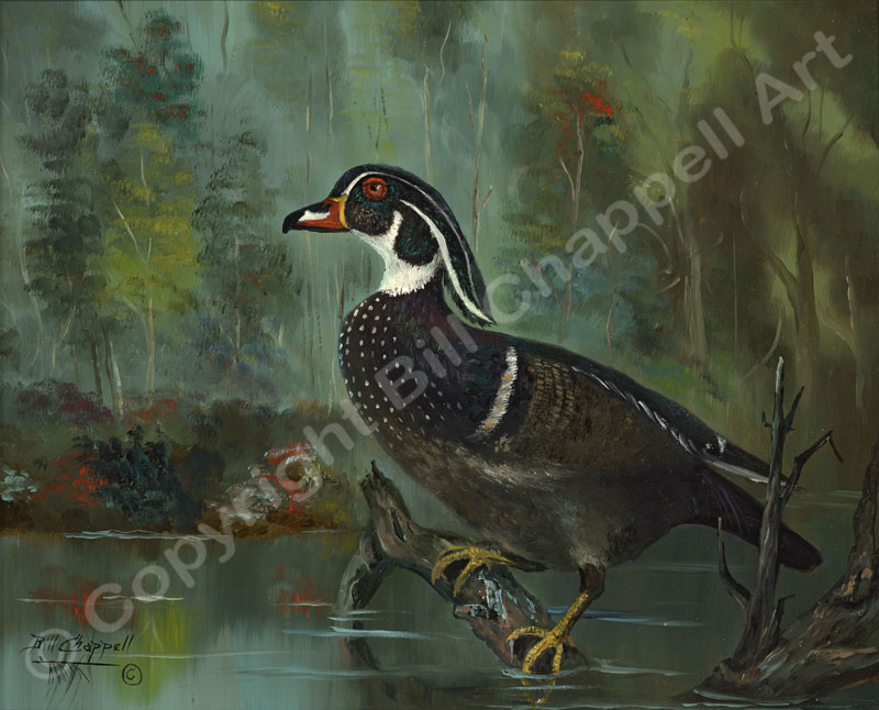 Wood Duck (Cutting Board)